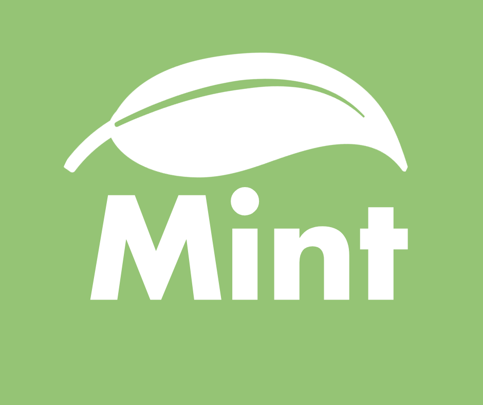 About Mint about-mint